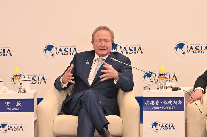 Andrew Forrest accused Rishi Sunak of "denying global warming".