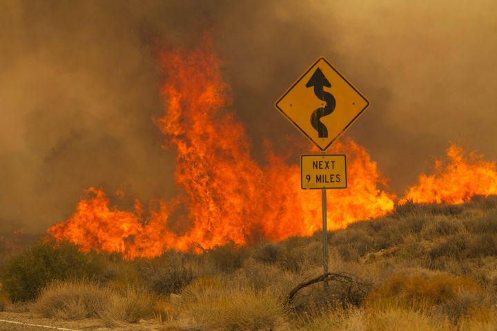 Μάχη με «πυρκαγιές» στο Εθνικό Καταφύγιο Μοχάβε της Καλιφόρνια αυτό το Σαββατοκύριακο, καθώς μια τεράστια πυρκαγιά ξέσπασε στη Νεβάδα εν μέσω επικίνδυνων υψηλών θερμοκρασιών.(AP Photo/Ty O'Neil)