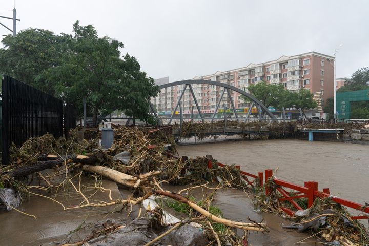 Fallen trees are seen near a bridge in Mengtougou district on July 31, 2023 in Beijing. 