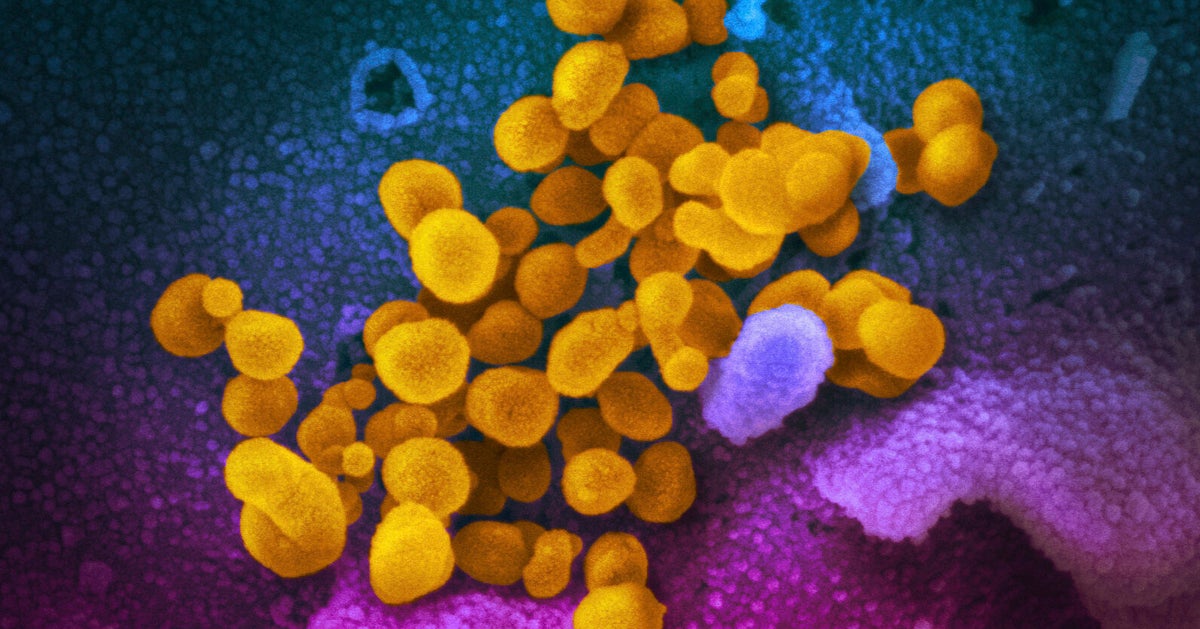 Biden Administration Creates Office To Coordinate Long COVID Response Biden Administration Creates Office To Coordinate Long COVID Response