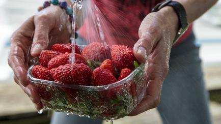 The 1 Thing That'll Wash Pesticides Off Fruits And Vegetables
