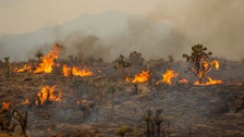 Firefighters Battle ‘Fire Whirls’ In Massive California-Nevada Blaze