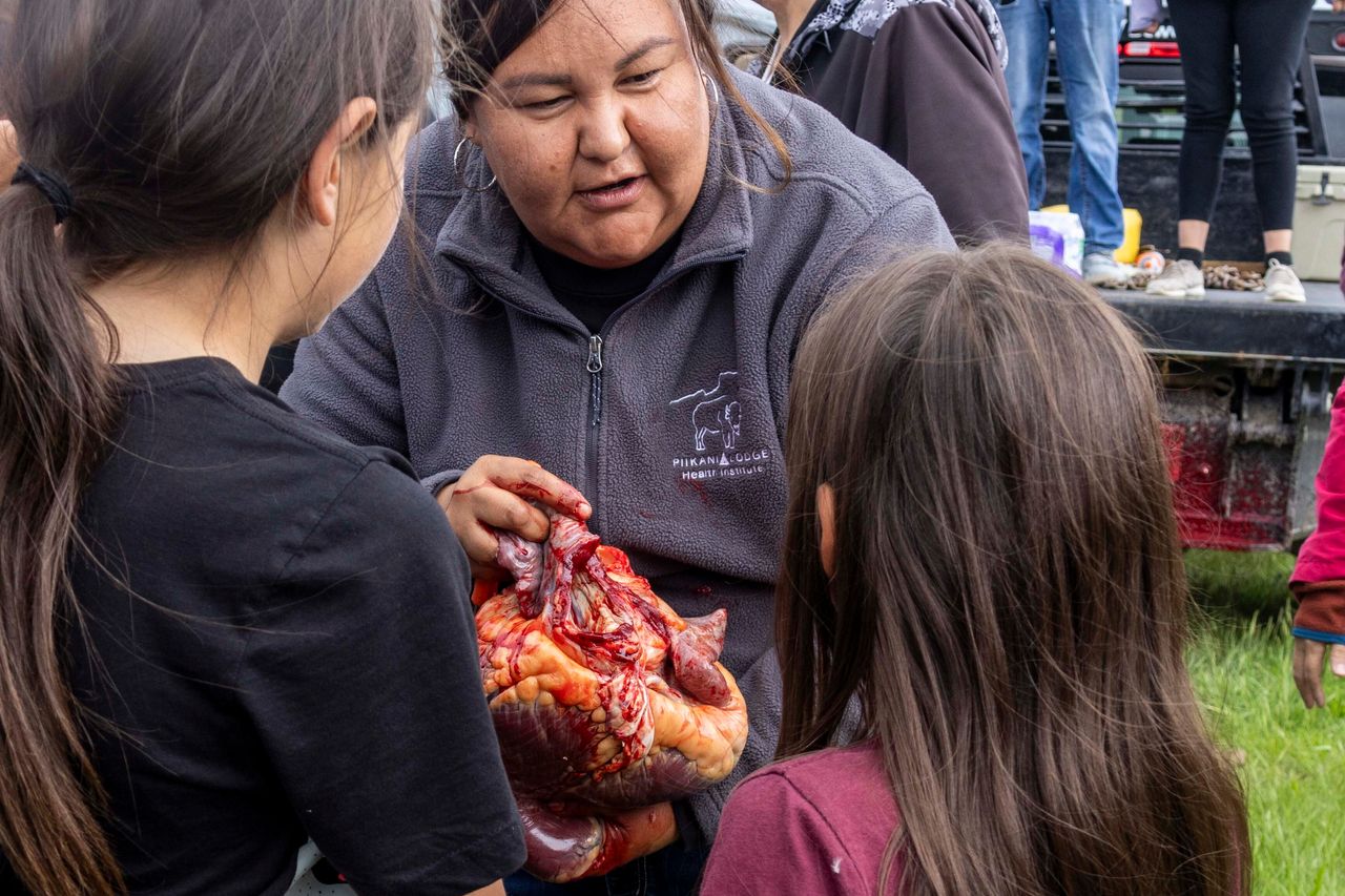 Latrice Tatsey shows a freshly butchered bison heart to two young girls at Buffalo Spirit Hills Ranch on June 3.
