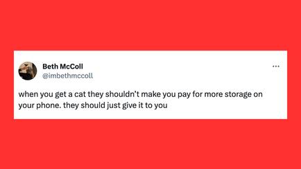 Sweet 16: Sixteen Funny Animal Tweets We Found On Twitter - I Can