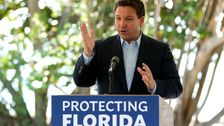 There’s A Crisis Unfolding In Florida’s Waters. DeSantis Hasn’t Said A Word.