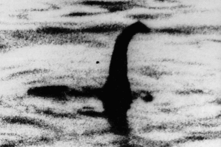 FILE - This undated file photo shows a shadowy shape that some people say is a the Loch Ness monster in Scotland. An upcoming search for the fabled “Nessie" is billed as the largest of its kind in over half a century.