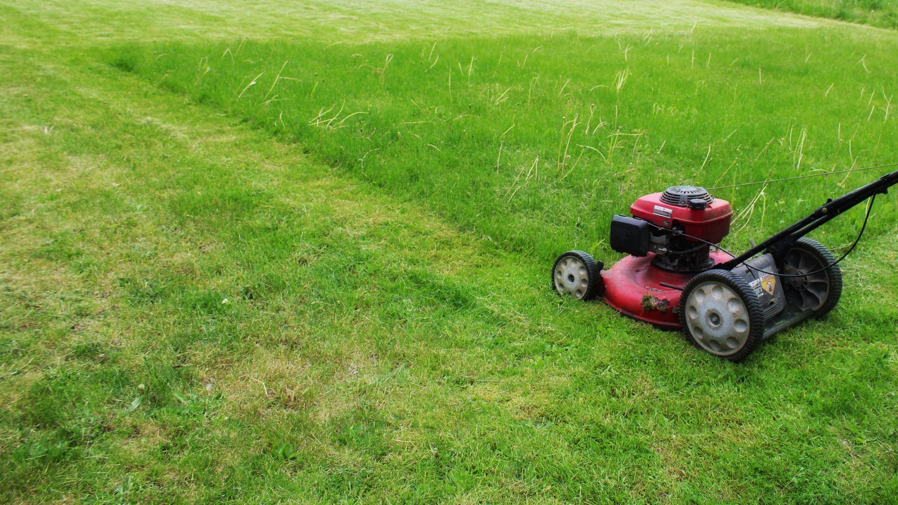 Is it bad to mow your lawn when it's wet hot sale