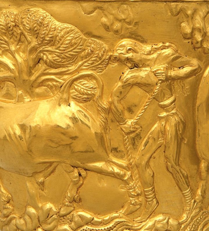 Λεπτομέρεια από το χρυσό κύπελλο από το θολωτό τάφο του Βαφειού Λακωνίας. Παριστάνεται ένας αγρότης που δαμάζει ταύρο. Έργο μινωικού εργαστηρίου. Περί το 1500 π.Χ. (Φωτογραφικό Αρχείο Εθνικού Αρχαιολογικού Μουσείου).