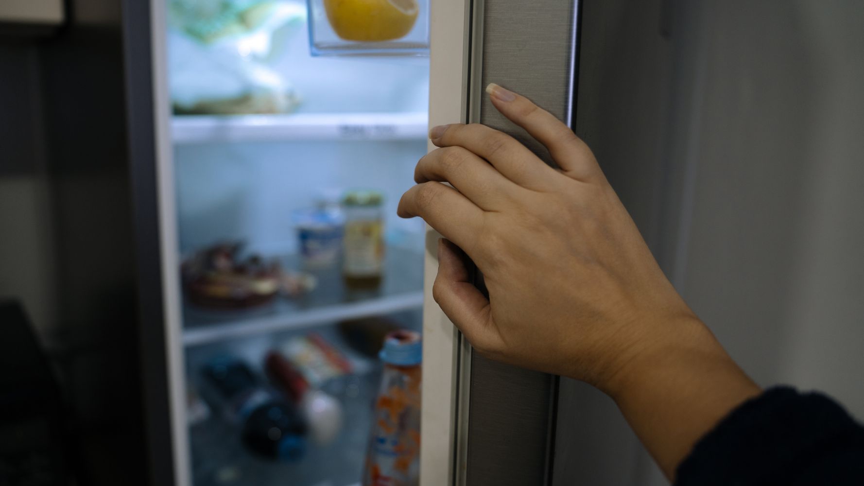 Fridge and freezer cleaner. Clean fridge. Freezer cleaning - Conservatis