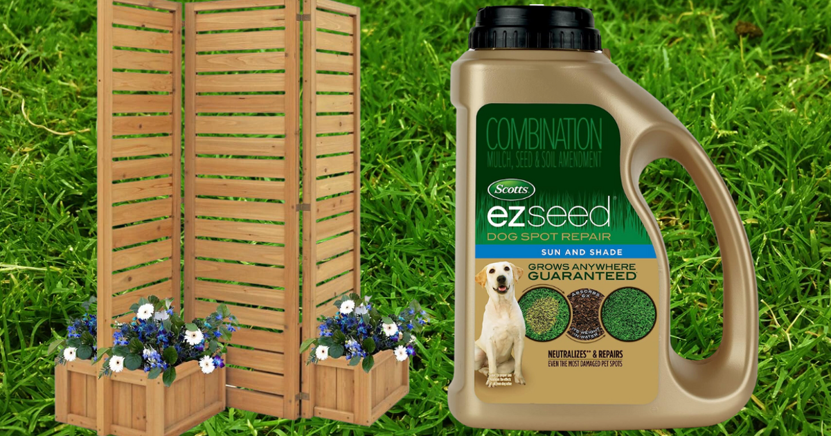 NextImg:28 Products That’ll Take Care Of Any Outdoor Eyesores Contaminating Your Yard