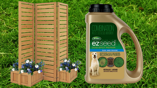 Cedar privacy screen and dog spot repair. 