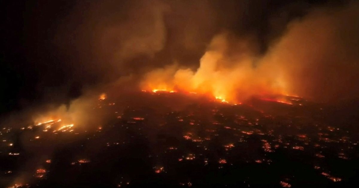 Maui : des incendies meurtriers dévastent l’île d’Hawaï