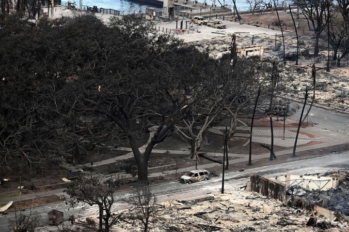 An aerial image shows the historic Banyan tree surrounded by burned cars in Lahaina in the aftermath of wildfires in western Maui in Lahaina, Hawaii, on August 10, 2023. 