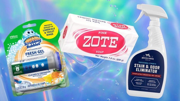 Scrubbing Bubbles toilet bowl stamps, a laundry bar and an odor-eliminating pet stain remover. 