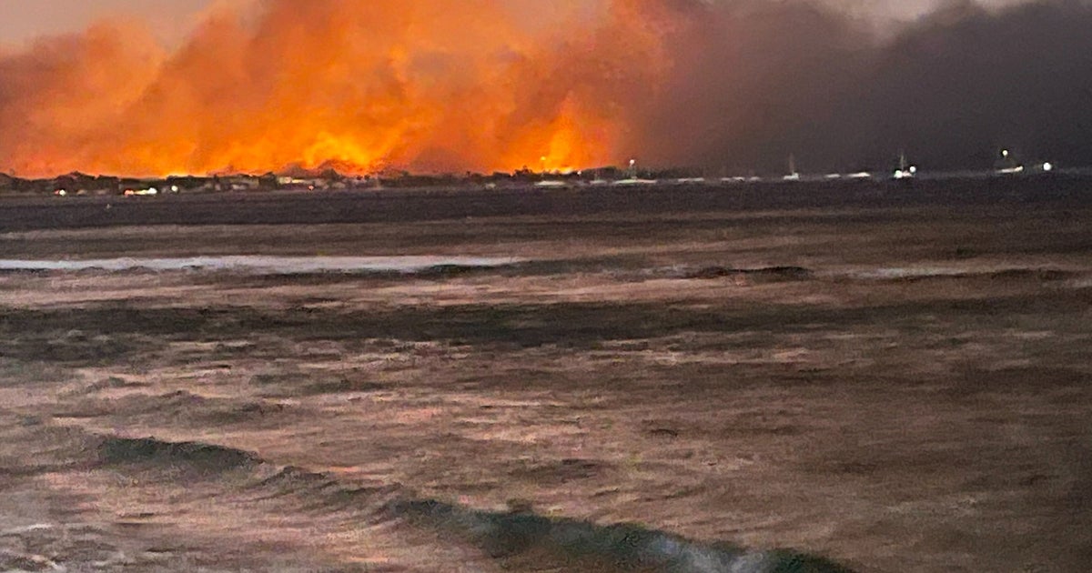 What Caused The Maui Wildfires? | HuffPost UK News - Vimarsana News