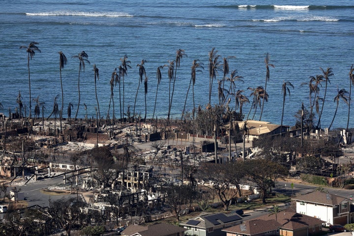 In an aerial view, homes and businesses are seen that were destroyed by the wildfire in Lahaina. 