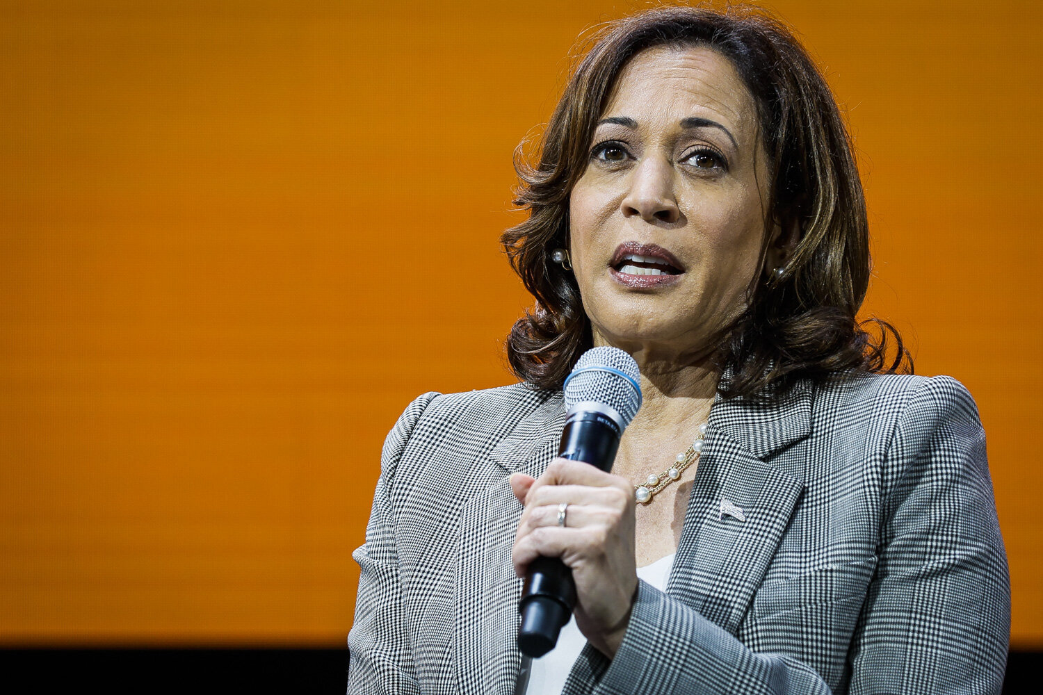 Kamala Harris Is 'Worried' About Voter Turnout For 2024 Election ...