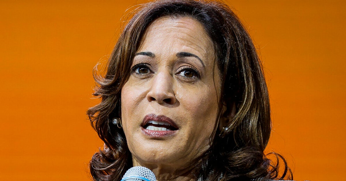 Kamala Harris Is 'Worried' About Voter Turnout For 2025 Election