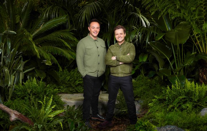 I'm A Celebrity hosts Anthony McPartlin and Declan Donnelly