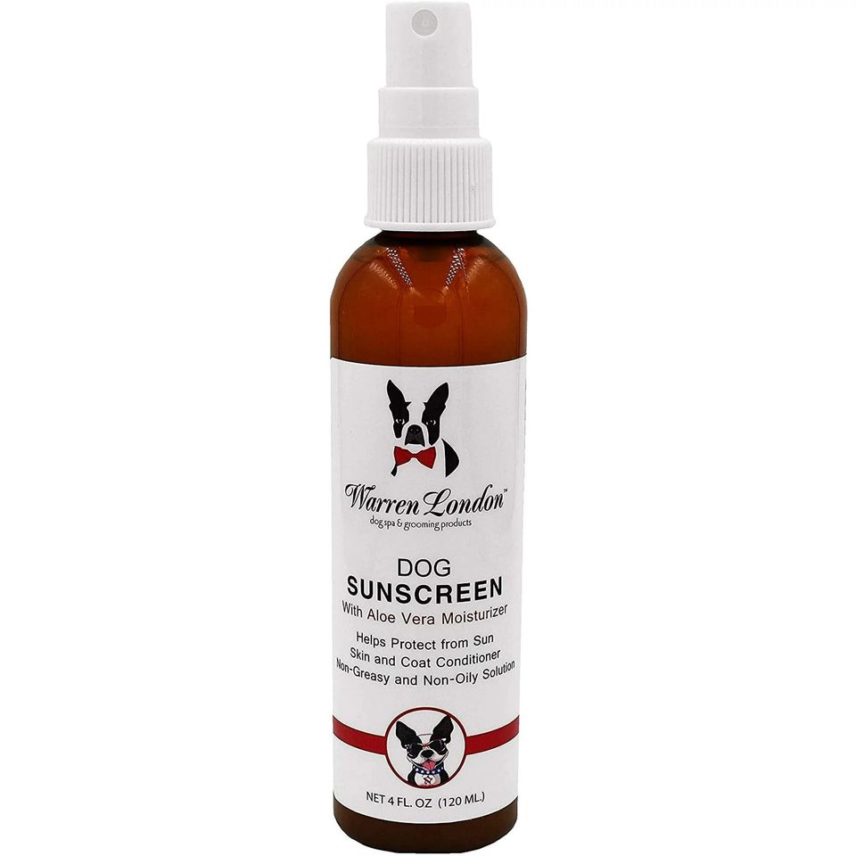 A sunscreen for your dog