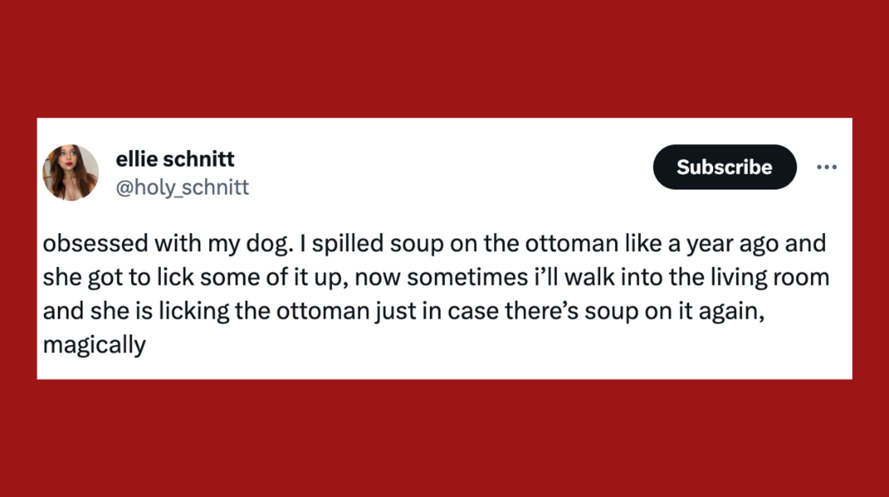 Sweet 16: Sixteen Funny Animal Tweets We Found On Twitter - I Can
