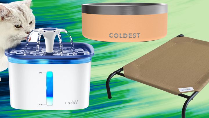 Affordable Walmart Buys To Keep Your Pet Cool In The Heat | Huffpost Life
