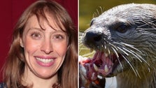 ‘Succession’ Actor Hospitalized After Rare Otter Attack