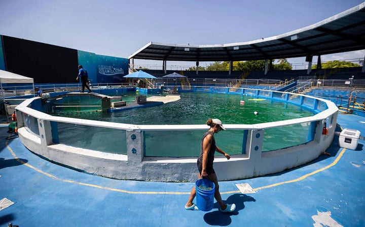 Kyra Wadsworth, a trainer at the Miami Seaquarium, is seen working near Lolita's stadium tank on July 8, 2023, in Miami. (Matias J. Ocner/Miami Herald/Tribune News Service via Getty Images)