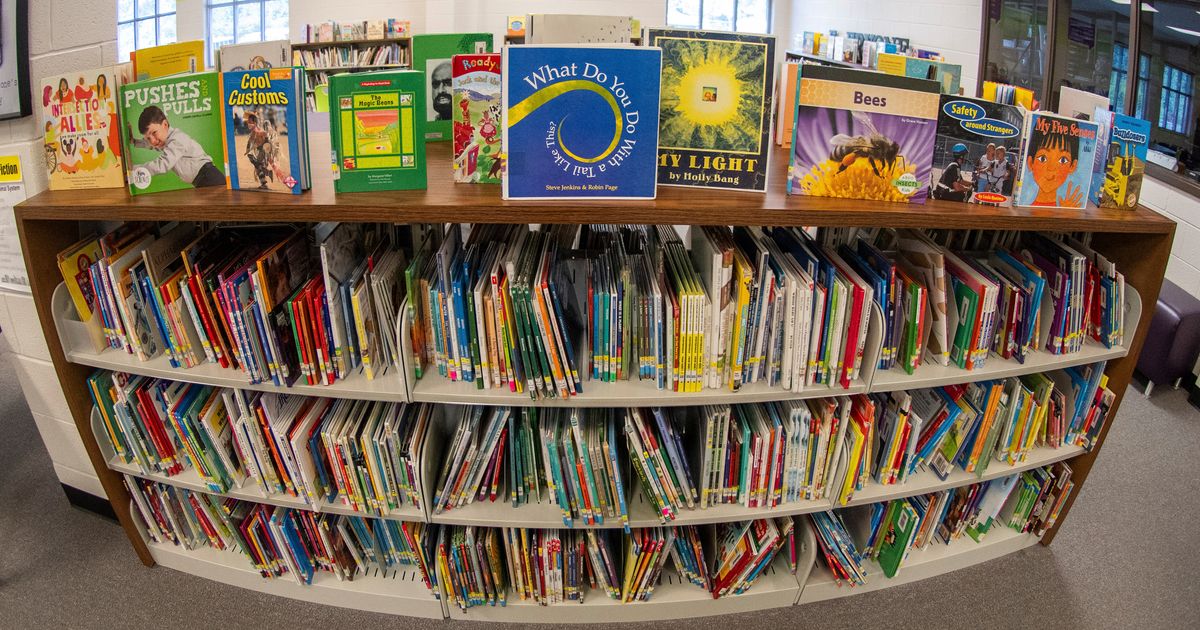 Georgia Made It Easier For Parents To Challenge School Library Books. Almost No One Has Done So