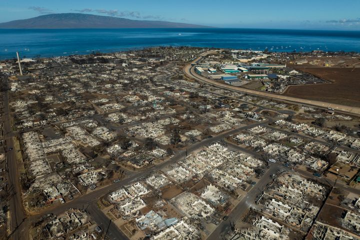 TV Anchor and Hawaii Native Recounts Destruction of the Deadly Maui  Wildfires