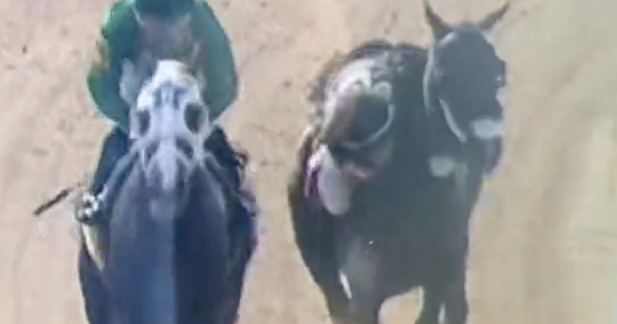 Jockey Clings To Side Of Horse After Stirrup Breaks During Race