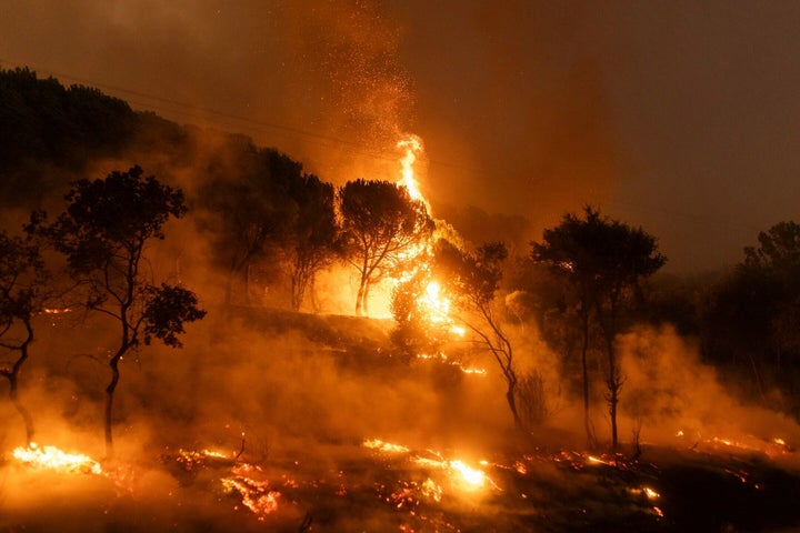 Φλεγόμενη δασική έκταση στο χωριό Δίκελα, κοντά στην πόλη της Αλεξανδρούπολης, στη βορειοανατολική περιοχή του Έβρου, Ελλάδα, Τρίτη, 22 Αυγούστου 2023.