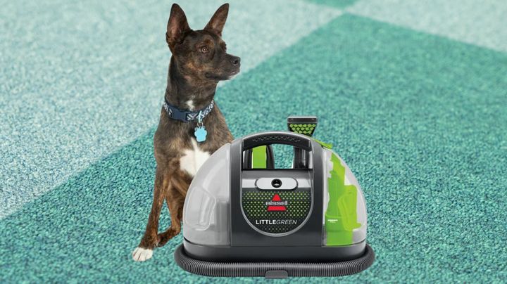 Bissell Little Green Portable Carpet Cleaner : Target