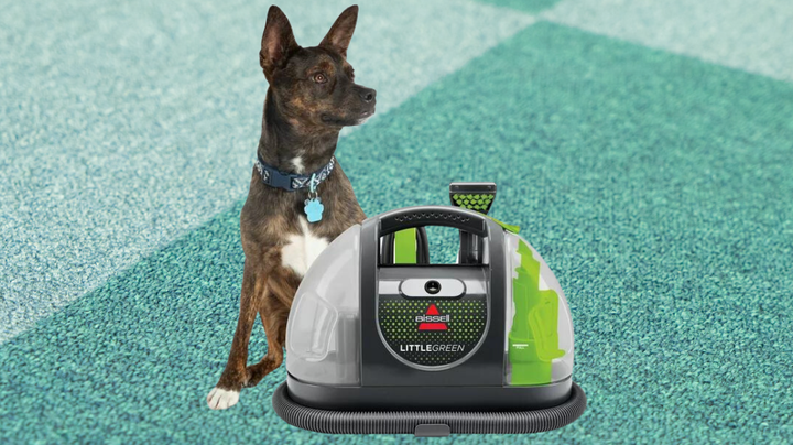 Snag the TikTok-famous Bissell Little Green carpet cleaner while