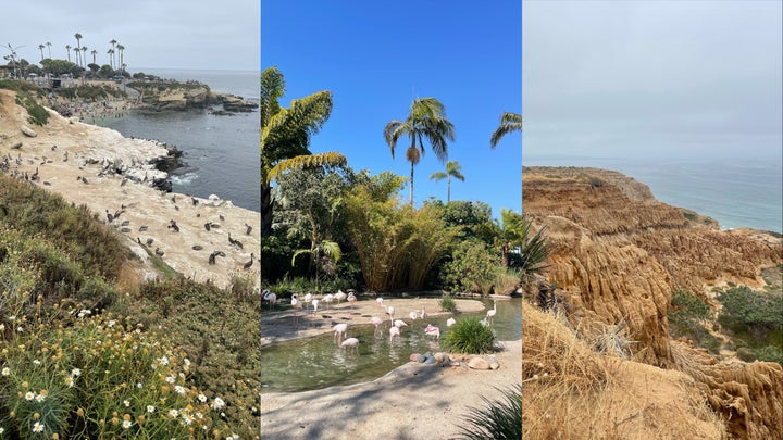 From left: La Jolla Cove, the San Diego Zoo and Torrey Pines State Natural Reserve.