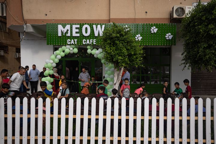 Από τα εγκαίνια του Meow Cafe, Πέμπτη 17Αυγούστου 2023