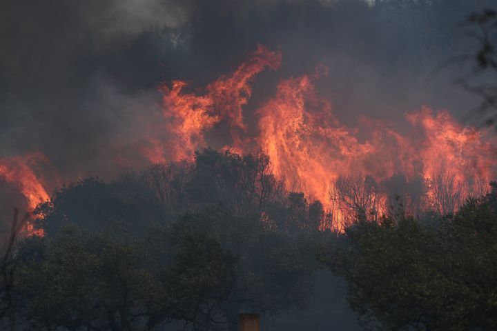 Για δέκατη ημέρα οι πυροσβεστικές δυνάμεις δίνουν τη μάχη με τις φλόγες στον Έβρο