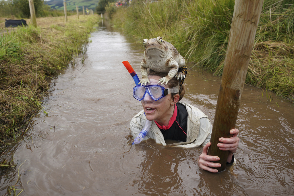 Competitors Battle It Out At Britains Bog Snorkeling Championships HuffPost Weird News pic