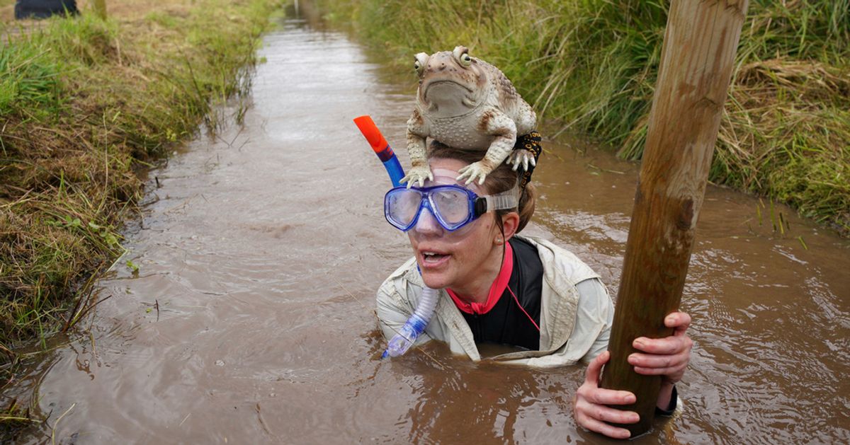 Opponents Get Down And Soiled At Britain’s Lavatory Snorkeling Championships