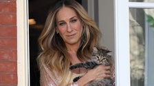 Sarah Jessica Parker Adopted Her ‘And Just Like That’ Cat In Real Life