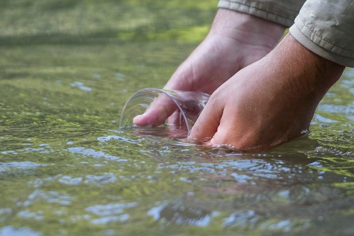 Matthew Wagner, a biologist from the U.S. Fish and Wildlife Service, releases threatened pearl darter fish, which haven't lived in the Pearl River system for 50 years, in the Strong River, a tributary of the Pearl River, in Pinola, Mississippi, Monday, July 31, 2023. 