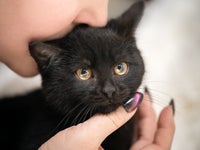 64f43a752600005a0012a5ca.jpeg?