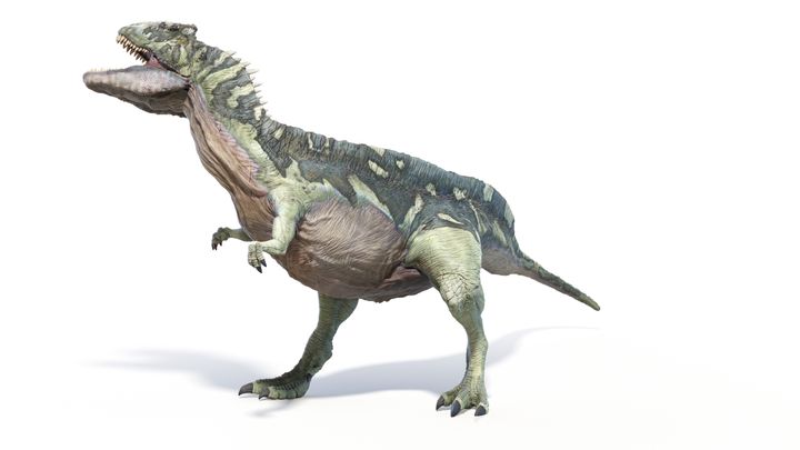 Απεικόνιση ενός δεινοσαύρου Ακροκανθόσαυρου.