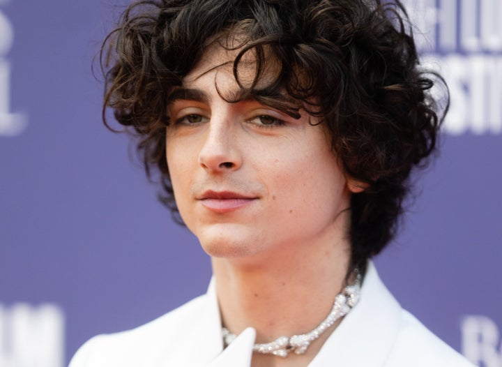 Timothée Chalamet Natural Hair