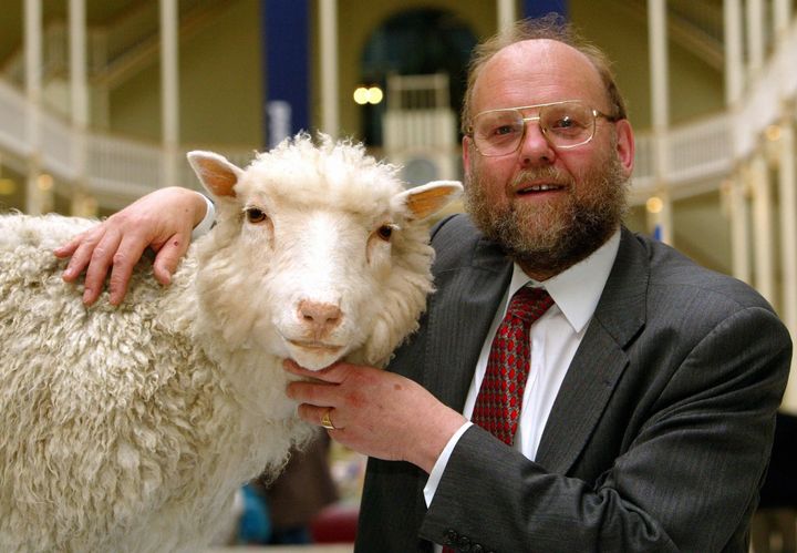Professor Ian Wilmut of the Roslin Institute pictured, with his old friend, "Dolly", the world s first cloned sheep, who died on February 14 this year, and has now been pickled and mounted on a straw-covered plinth and is on permanent display at Edinburgh's Royal Museum.