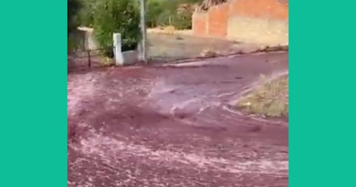 Red Wine Flooded Down One Very Unexpected Place In Portugal - Vimarsana News