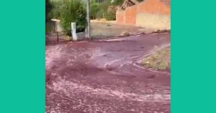 Red wine running down the streets of a Portuguese town