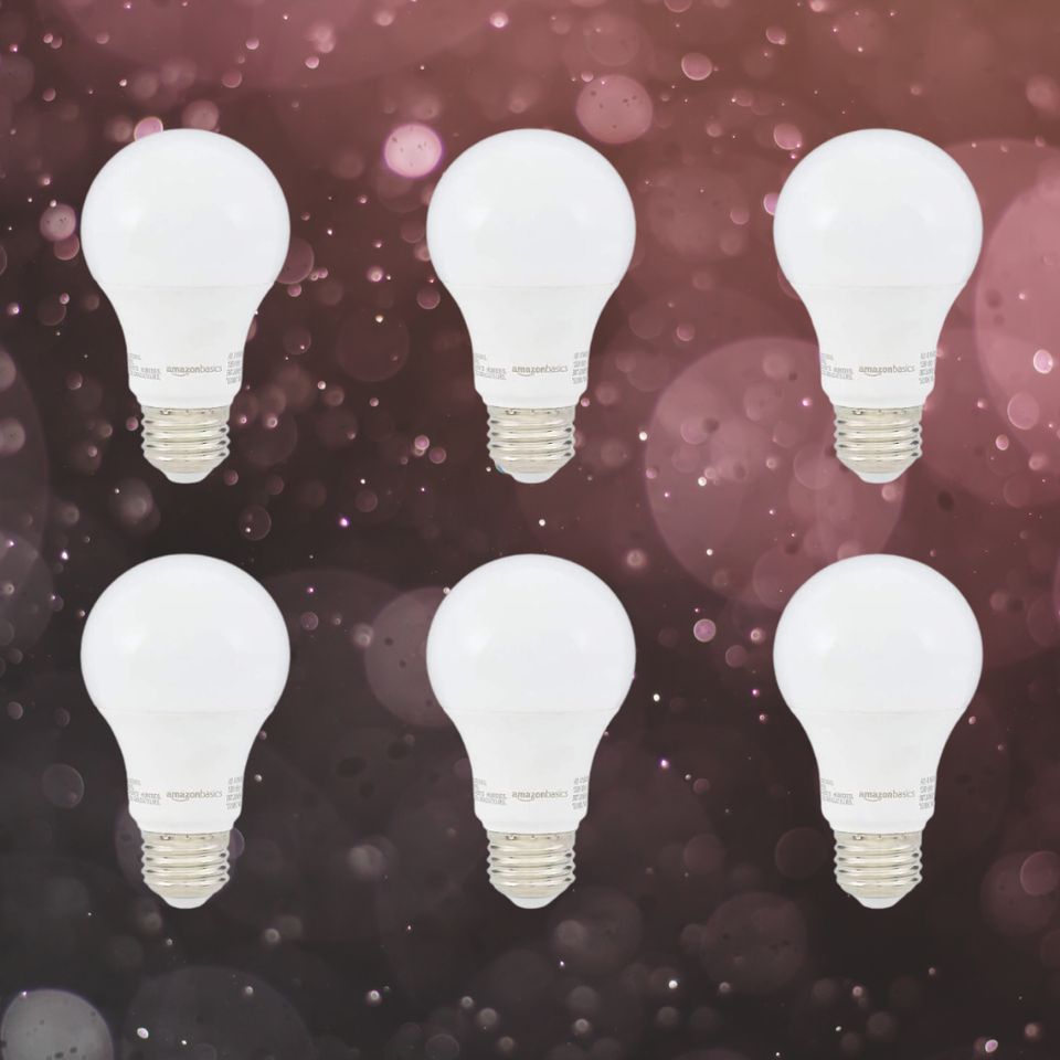 Amazon Basics dimmable bulbs six-pack