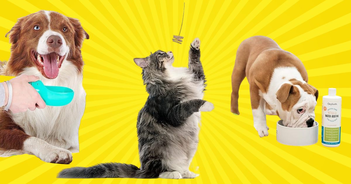 34 Must-Have Pet Products Reviewers Call ‘Lifesavers’