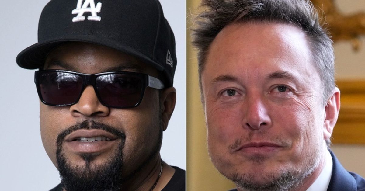 'Feel Stupid Yet?': Ice Cube Burns Elon Musk With Scorching Surprise Diss